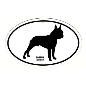 Boston Terrier Oval Magnet