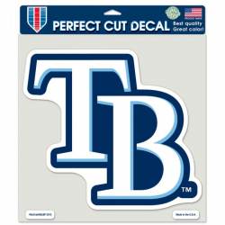 Tampa Bay Rays Alternate - 8x8 Full Color Die Cut Decal