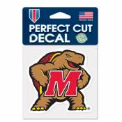 University Of Maryland Terrapins - 4x4 Die Cut Decal