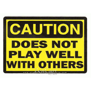 Warning: Does Not Play Well With Yankees premium bumper sticker