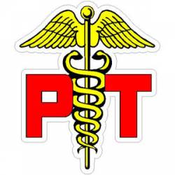 Physical Therapist - Decal