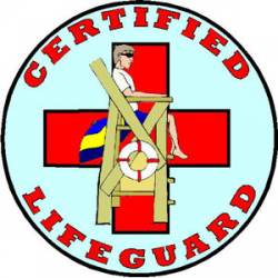 Lifeguard - Decal