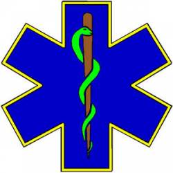 Star Of Life Yellow Outline - Decal