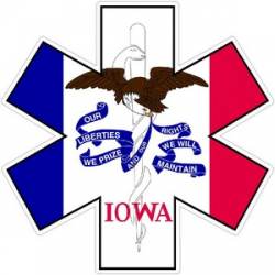 State of Iowa Star of Life - Decal
