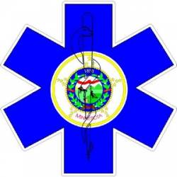State of Minnesota Star of Life - Decal