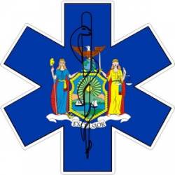 State of New York Star of Life - Decal