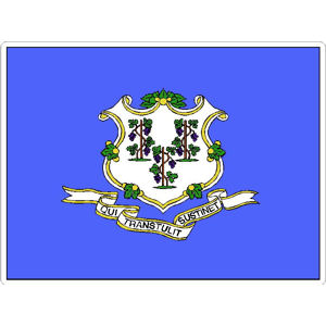 State Of Connecticut - Vinyl Flag Sticker at Sticker Shoppe