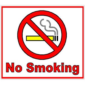 No Smoking - Vinyl Sticker at Sticker Shoppe