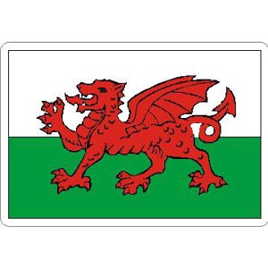 Wales Flag - Rectangle Sticker at Sticker Shoppe