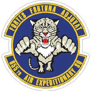 Air Force 655th Air Expeditionary Squadron - Sticker at Sticker Shoppe