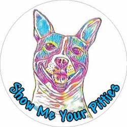 Show Me Your Pitties Rainbow - Vinyl Sticker