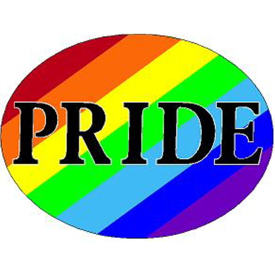 pride-stickers-vw-stickers-etsy