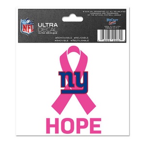 Philadelphia Eagles Breast Cancer Awareness Hope - 3x4 Ultra Decal