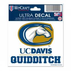 University Of California-Davis Quidditch - 3x4 Ultra Decal