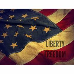 Liberty And Freedom - Vinyl Sticker