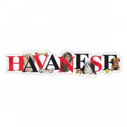 Havanese - Alphabet Magnet