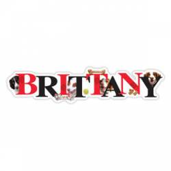 Brittany - Alphabet Magnet