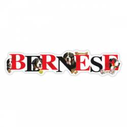 Bernese - Alphabet Magnet