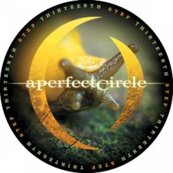 A Perfect Circle Slug - Pinback