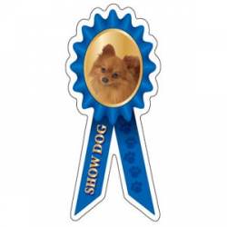 Pomeranian Show Dog - Prize Ribbon Magnet