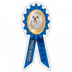 Maltese Show Dog - Prize Ribbon Magnet