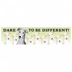 Greyhound - Dare To Be Different  - Bumper Magnet