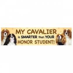 My Cavalier Is Smarter Than Your Honor Student - Bumper Magnet