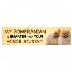 My Pomeranian Is Smarter Than Your Honor Student  - Bumper Magnet