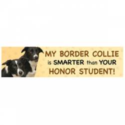 My Border Collie Is Smarter Than Your Honor Student - Bumper Magnet