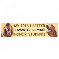 My Irish Setter Is Smarter Than Your Honor Student  - Bumper Magnet