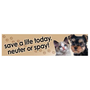 Save A Life Today, Neuter Or Spay - Bumper Magnet at Sticker Shoppe