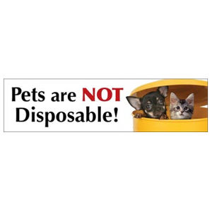 Pets Are Not Disposable - Bumper Magnet at Sticker Shoppe