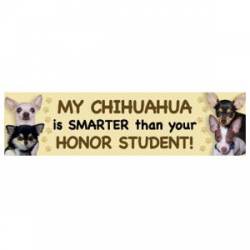 My Chihuahua Is Smarter Than Your Honor Student - Bumper Magnet