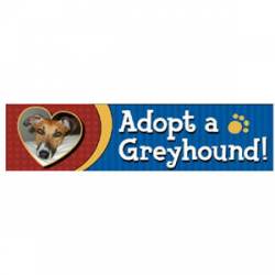 Adopt A Greyhound - Bumper Magnet
