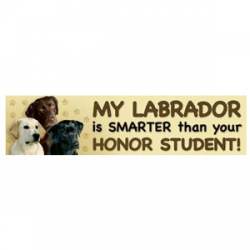 My Labrador Is Smarter Than Your Honor Student  - Bumper Magnet