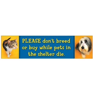 Please Don't Breed Or Buy While Pets In The Shelter Die - Orange And ...