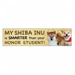 My Shiba Inu Is Smarter Than Your Honor Student - Bumper Magnet