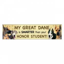 My Great Dane Is Smarter Than Your Honor Student  - Bumper Magnet