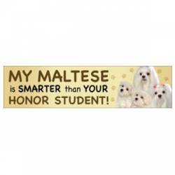 My Maltese Is Smarter Than Your Honor Student  - Bumper Magnet