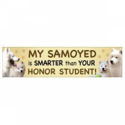 My Samoyed Is Smarter Than Your Honor Student - Bumper Magnet