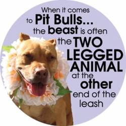 Pit Bulls Beast Is At Other End Of The Leash - Circle Magnet
