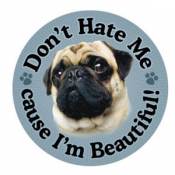 Pug Don't Hate Me Because I'm Beautiful - Circle Magnet