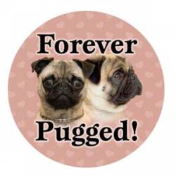 Pug Forever Pugged! - Circle Magnet