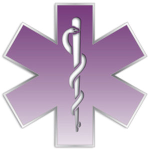 Purple Gradient Star Of Life - Reflective Sticker at Sticker Shoppe