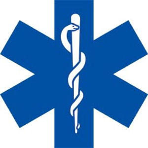 Blue Star Of Life - Reflective Sticker at Sticker Shoppe