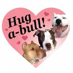 Hug-A-Bull - Heart Magnet