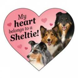 My Heart Belongs To A Sheltie - Heart Magnet