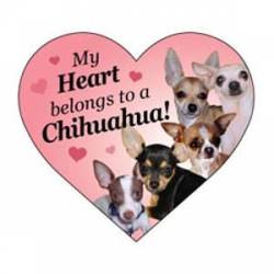 My Heart Belongs To A Chihuahua - Heart Magnet