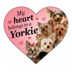 My Heart Belongs To A Yorkie - Heart Magnet