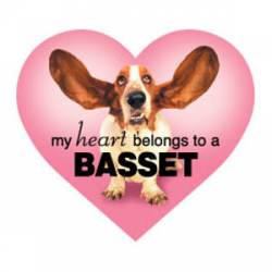 My Heart Belongs To A Basset - Heart Magnet